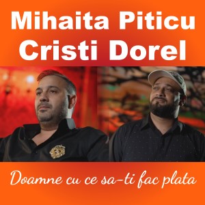 Listen to Doamne cu ce sa-ti fac plata song with lyrics from Mihaita Piticu