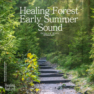 ดาวน์โหลดและฟังเพลง Forest E arly Summer Sound พร้อมเนื้อเพลงจาก 힐링 네이쳐 Nature Sound Band