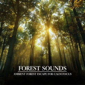 收聽Nature Sounds For Focus的Stay in the Zone (ocean wave)歌詞歌曲