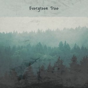 Album Evergreen Tree from Various Artists