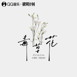 收聽小梁的（梁思琪）的毒草花DJ版 (完整版)歌詞歌曲