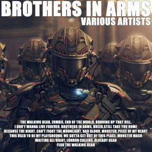 Various Artists的专辑Brothers In Arms