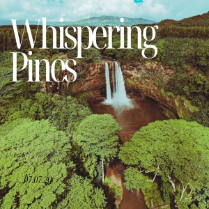 อัลบัม Whispering Pines ศิลปิน The Nowhows