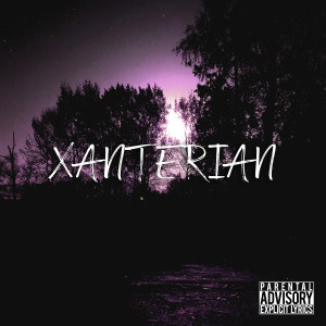 ดาวน์โหลดและฟังเพลง SUMMER DARKNESS (Explicit) พร้อมเนื้อเพลงจาก XANTERIAN