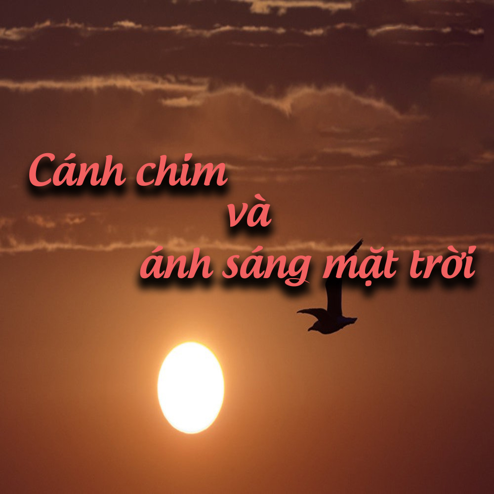 Tôi yêu đất mỏ