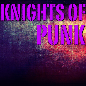 Various的专辑Knights Of Punk