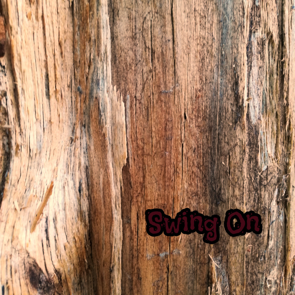 Swing On