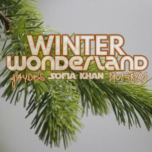 收聽Paul Grylys的Winter Wonderland (Trap House Version)歌詞歌曲