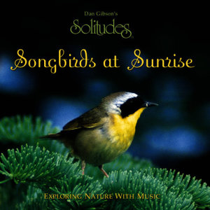 ดาวน์โหลดและฟังเพลง Northern Mist พร้อมเนื้อเพลงจาก Dan Gibson's Solitudes