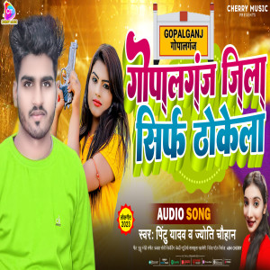 ดาวน์โหลดและฟังเพลง Gopalganj Jila Sirf Thokela (Bhojpuri) พร้อมเนื้อเพลงจาก Pintu Yadav