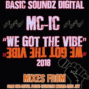 Listen to We Got The Vibe 2018 (Original Version) song with lyrics from MC-IC