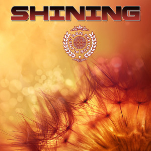 Various的专辑Shining