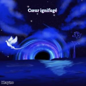 Kayzo的專輯Coeur Ignifugé (Explicit)