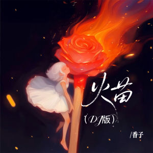 Album 火苗 (DJ版) oleh 香子