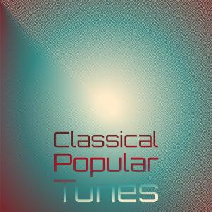 Various的专辑Classical Popular Tunes