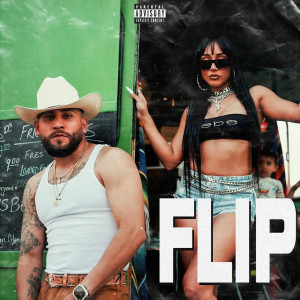 Listen to Flip (Explicit) song with lyrics from Octavio