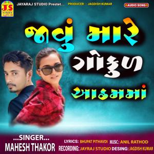 อัลบัม javu mare gokul aathm maa (Explicit) ศิลปิน Mahesh Thakor