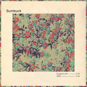 ดาวน์โหลดและฟังเพลง Sugarmuffin พร้อมเนื้อเพลงจาก Sumbuck