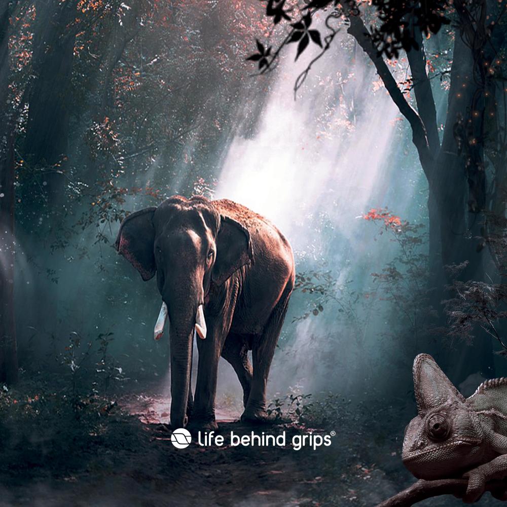 Ivory