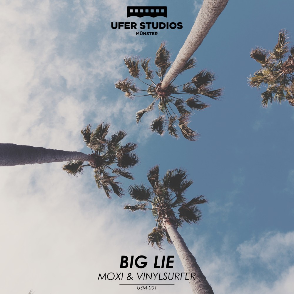 Big Lie (Vinylsurfer Remix)