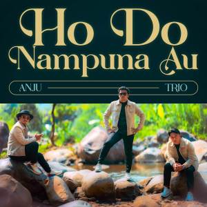 Anju Trio的專輯Ho Do Nampuna Au
