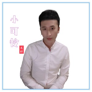 Listen to 小可怜 (伴奏) song with lyrics from 龙野