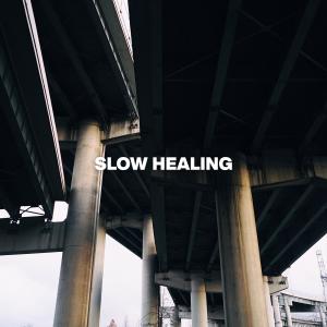 Ballads的專輯Slow Healing
