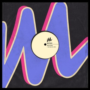 收聽Stacie Fields的Do What You Want (Extended Mix)歌詞歌曲