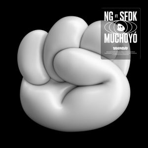 Album Muchoyó from NG