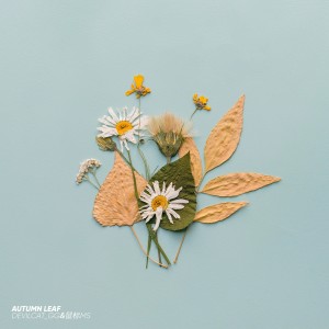 Album Autumn Leaf from GG_高璟