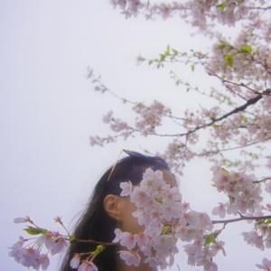 Emi Choi的專輯Sakura