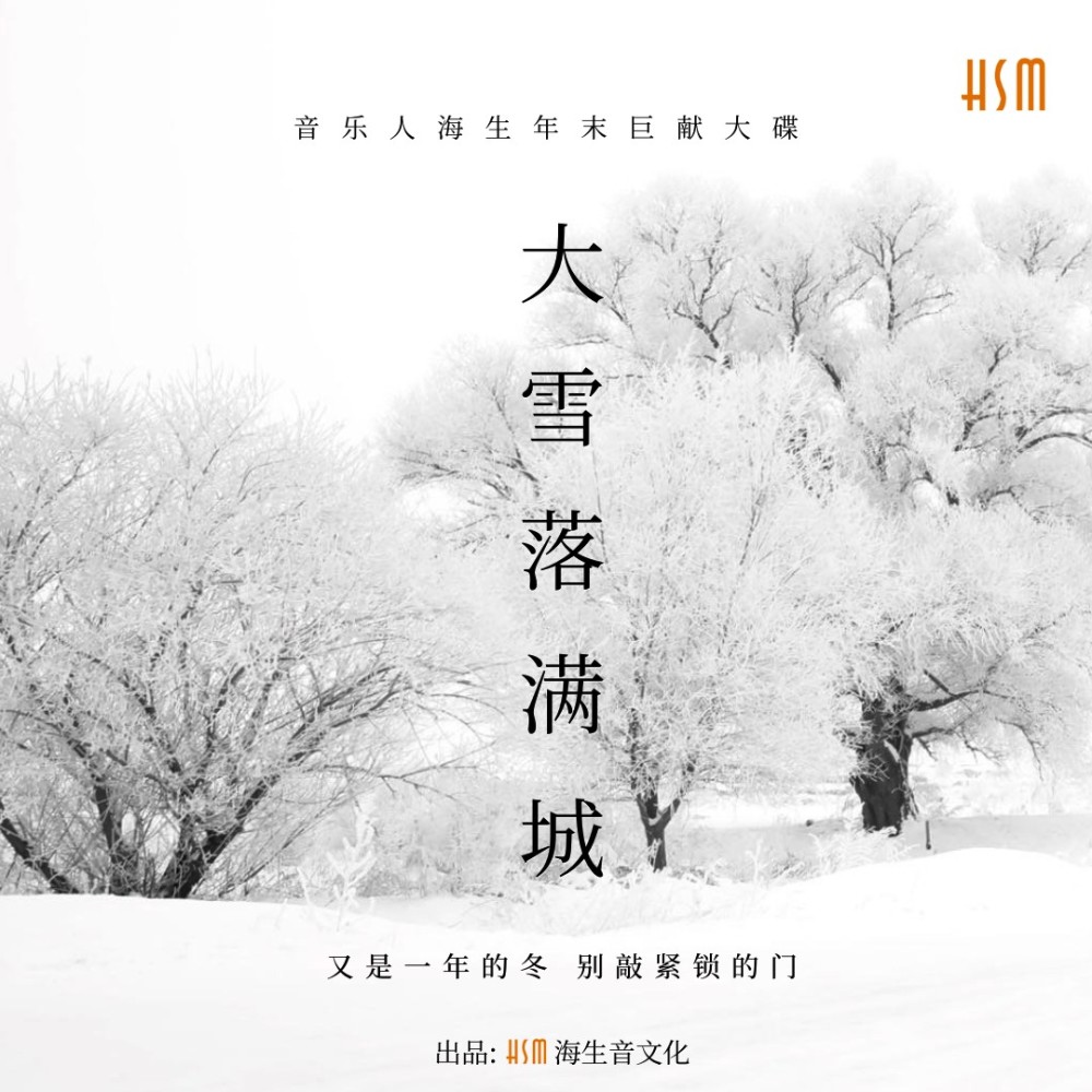 大雪落满城 (伴奏)