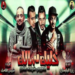 Album خليك سالك from Shawaha