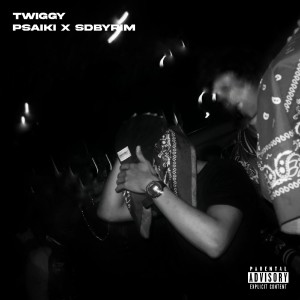 Listen to TWIGGY (Explicit) song with lyrics from Psaiki