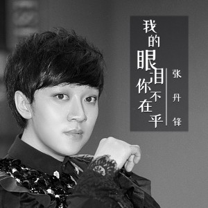 收聽張丹鋒的我的眼淚你不在乎 (男版)歌詞歌曲