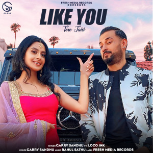 ดาวน์โหลดและฟังเพลง Like You (Tere Jaisi) พร้อมเนื้อเพลงจาก Garry Sandhu
