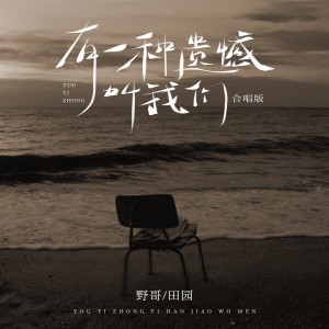 Album 有一种遗憾叫我们（合唱版） from 野哥