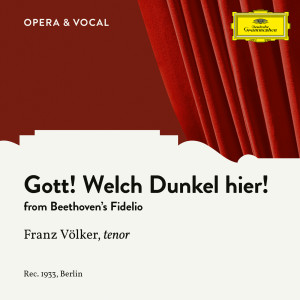 Alois Melichar的專輯Beethoven: Fidelio, Op. 72: Gott, welch' Dunkel hier