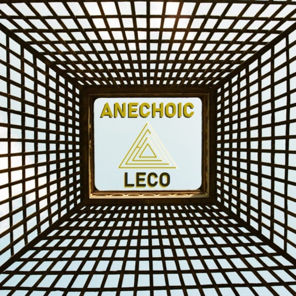 Anechoic Space