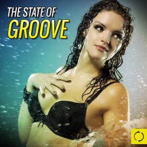 Album The State of Groove from Various Artists