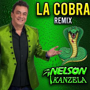 收聽Nelson Kanzela的La Cobra (Remix)歌詞歌曲