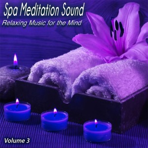 อัลบัม Spa Meditation Sound, Vol. 3 - Relaxing Music for the Mind ศิลปิน Various Artists