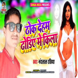 Listen to Thok Deham Dhorye Me Kila song with lyrics from Nandlal Rasiya