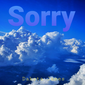 收聽Dakota James的Sorry (Explicit)歌詞歌曲