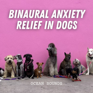 Album Ocean Sounds: Binaural Anxiety Relief in Dogs from Sounds Dogs Love
