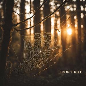 I Don't Kill