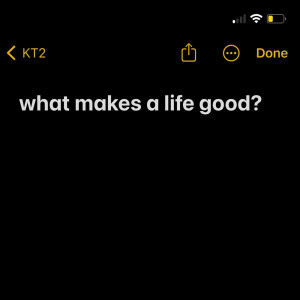 What Makes A Life Good?