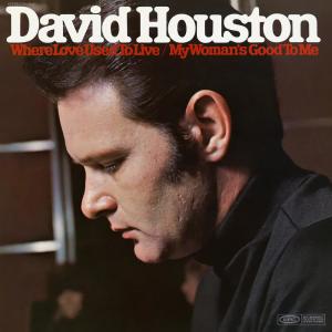 收聽David Houston的The One Rose That's Left In My Heart歌詞歌曲