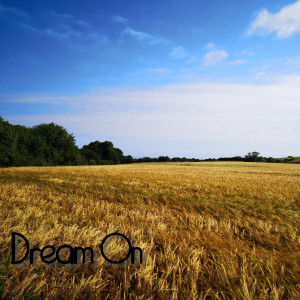 ดาวน์โหลดและฟังเพลง Dream On พร้อมเนื้อเพลงจาก Syd Bozko