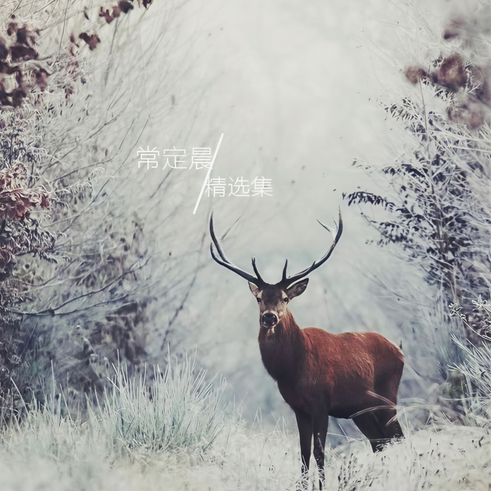 心跳停止一半